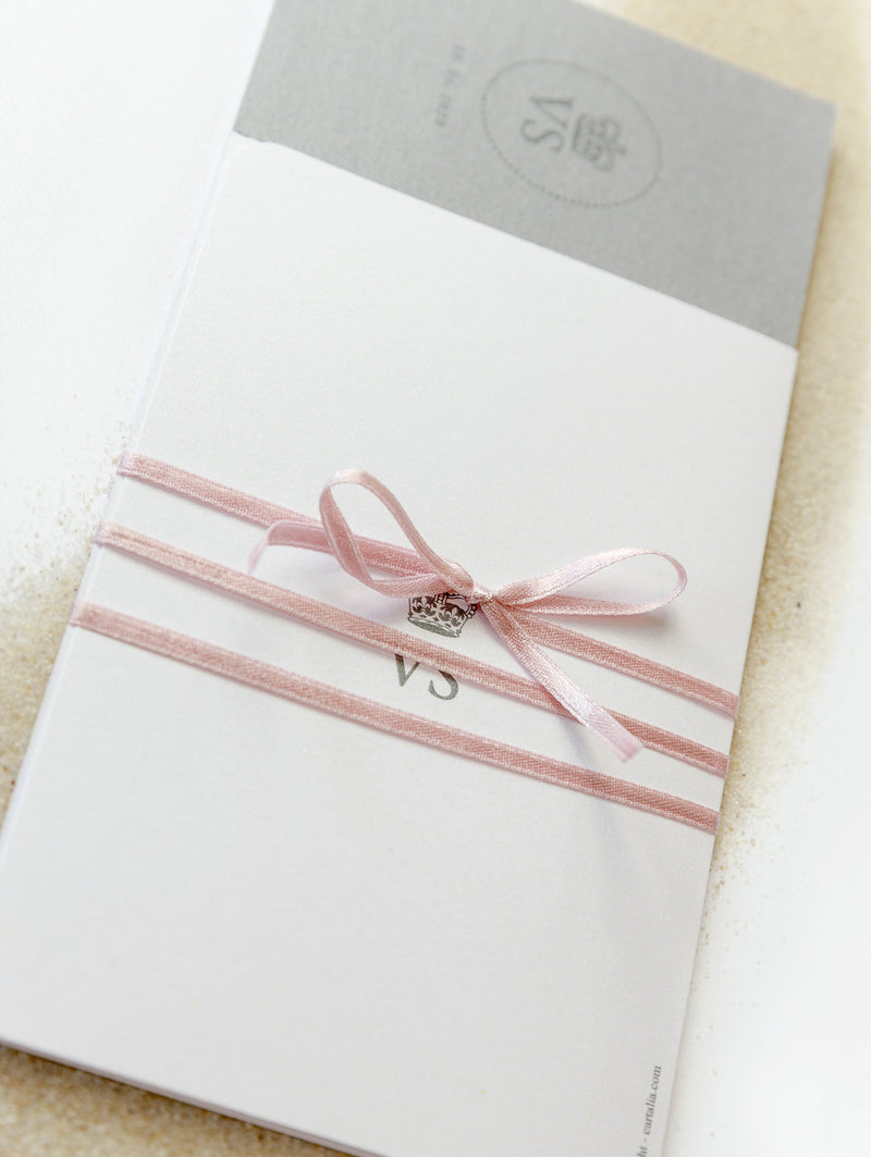 Reisepass-Hochzeitseinladungs-Set Blush + Bordkarte (RSVP)